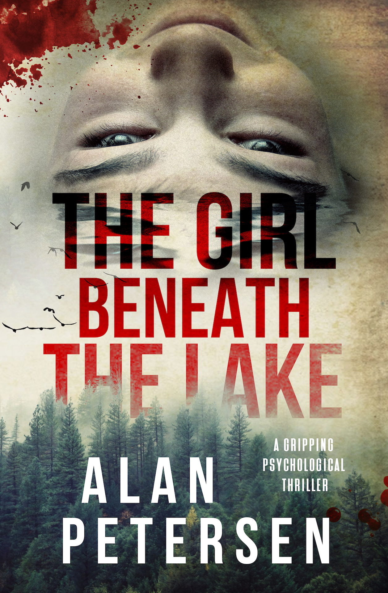 Book cover redesign for She's Gone